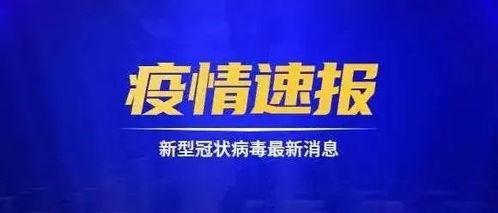 长春拍卖爆料事件最新,揭秘幕后黑幕，真相即将浮出水面  第3张
